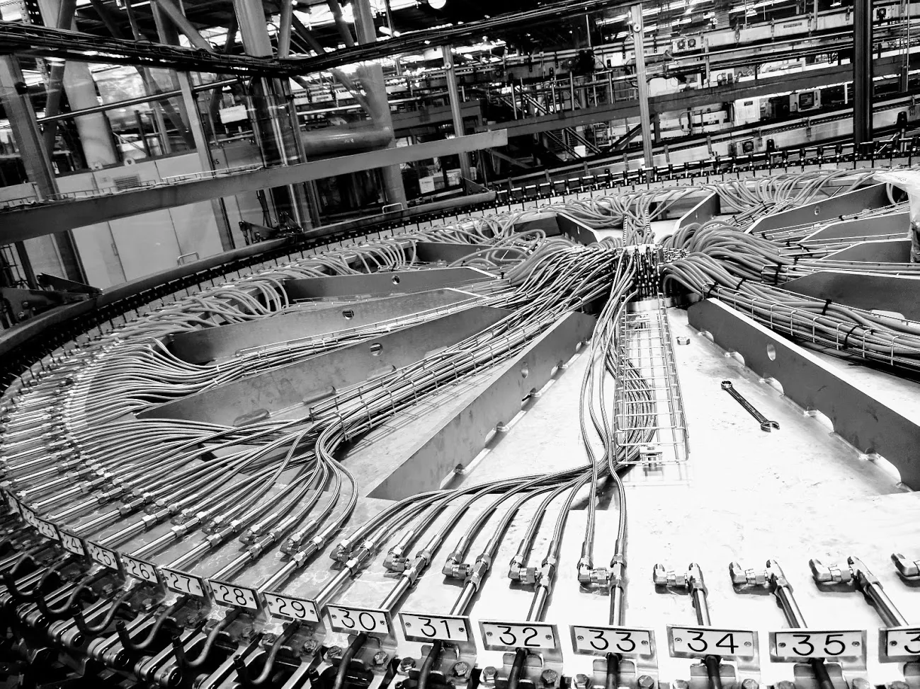 PTFE hose assemblies